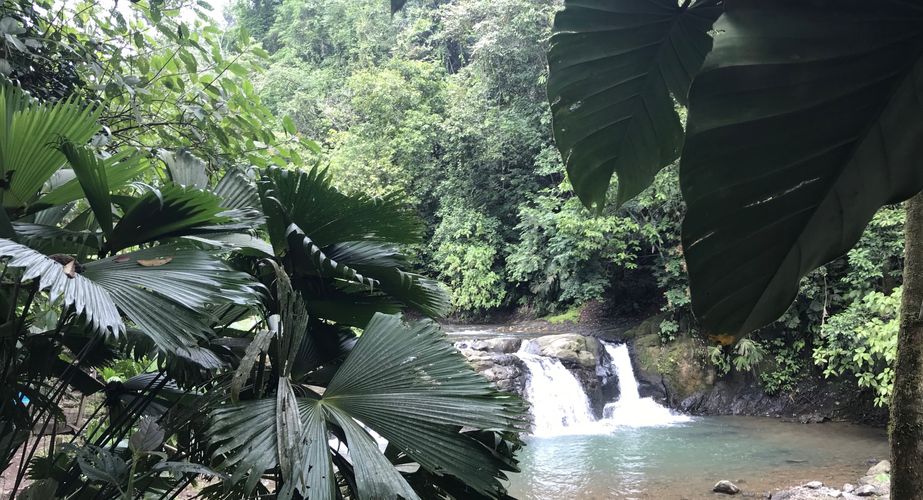 Watervallen Costa Rica